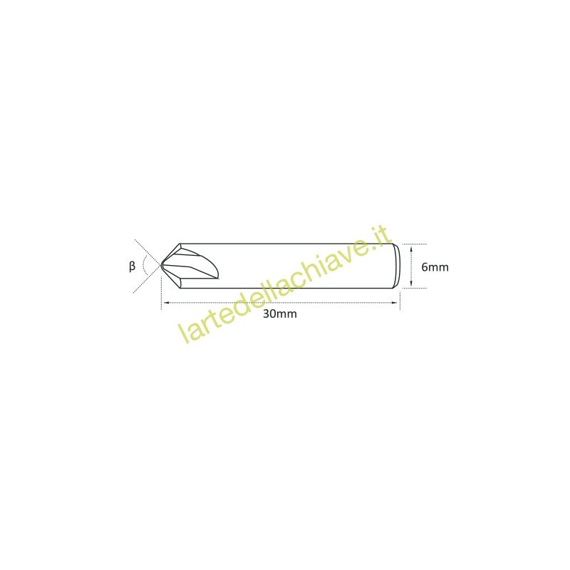 FRESA RAISE 024 WIDIA FUTURA 6X100°X30