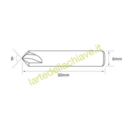 FRESA RAISE 024 WIDIA FUTURA 6X100°X30