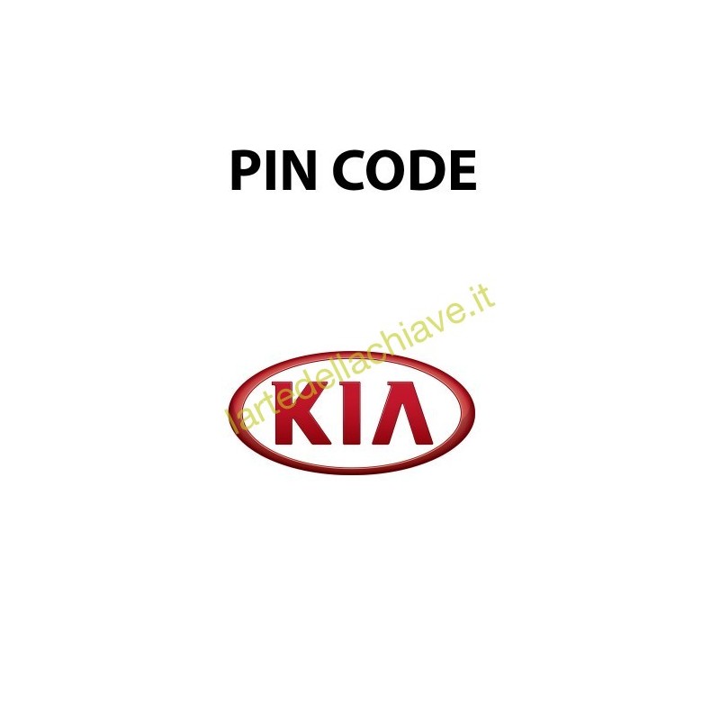 PIN CODE NISSAN