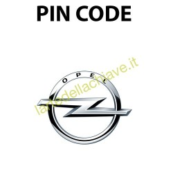 PIN CODE NISSAN