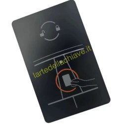 CARD/SCHEDA TESLA MODEL 3/Y
